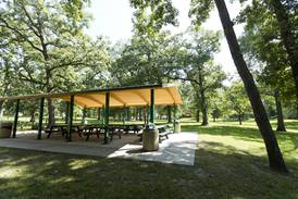 Green spaces boost children’s cognitive skills, strengthen family well-being, study shows    