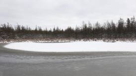 McHenry County firearm deer check station moved to Volo Bog