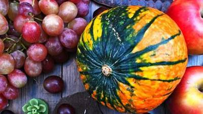 Craft Fairs in Will County: where to find them