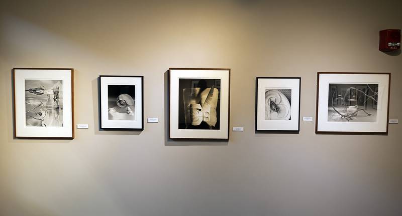 Les Allen constructs still-life works by using natural and artificial objects to juxtapose one another in his photographic works. The show will be up until Nov. 20 at Sauk Valley Community College.