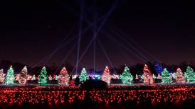 Brookfield Zoo’s Holiday Magic returns Nov. 24