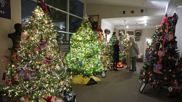 A Christmas tree wonderland awaits