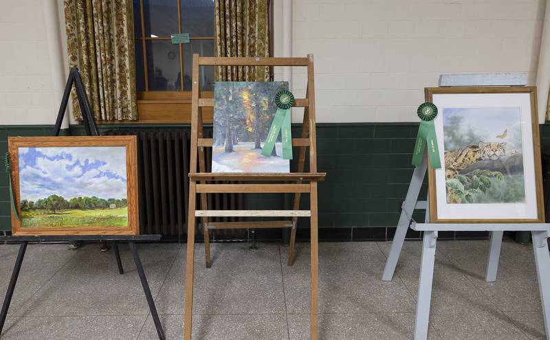 Twenty-five artists submitted 47 works for the 76th Phidian Club’s art show. Awards for the event were held Thursday, April 3, 2025, at the Loveland Community House in Dixon.