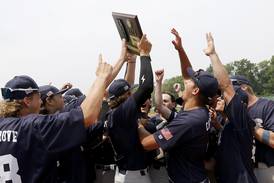 Kaden Norman finishes what he starts, Cary-Grove tops Crystal Lake South for 1st sectional title since 2009