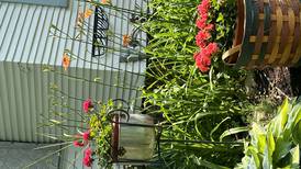 Grow gardening knowledge at home with Master Gardener online training options