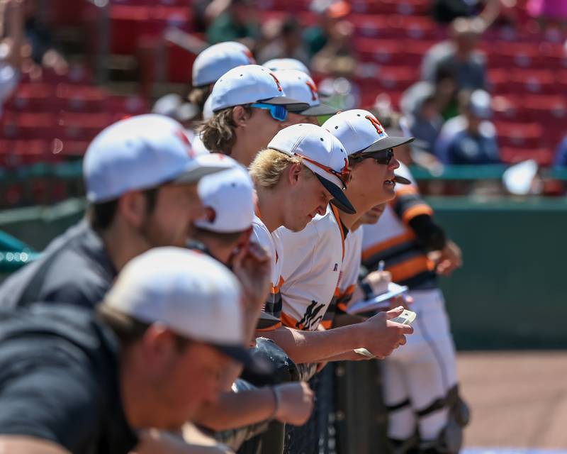 The McHenry bench cheers on the team during the Class 4A Supersectional game between York at McHenry.  June 7, 2022.