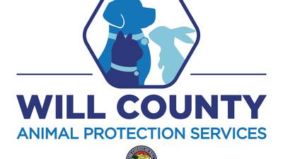 Will County cites national pet ‘crisis,’ makes changes in animal services