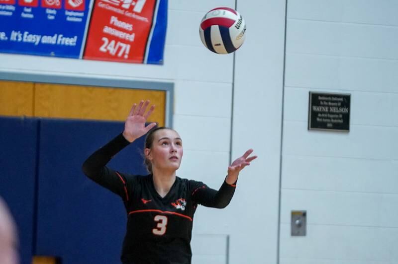 Wheaton Warrenville South's Alison Coyne (3) serves the ball during a Class 4A West Aurora Sectional semifinal volleyball match against Benet at West Aurora High School on Tuesday, Nov. 5, 2024.