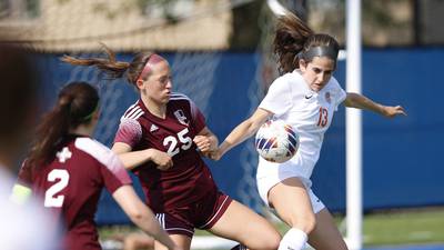 Crystal Lake Central can’t hold early lead, falls to St. Ignatius in Class 2A supersectional