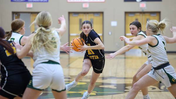 Photos: Coal City vs. Reed-Custer, girls basketball