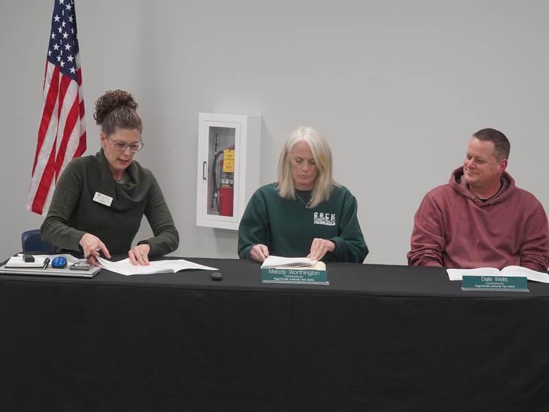 Rochelle Park District Board: Pool painting proposal approved