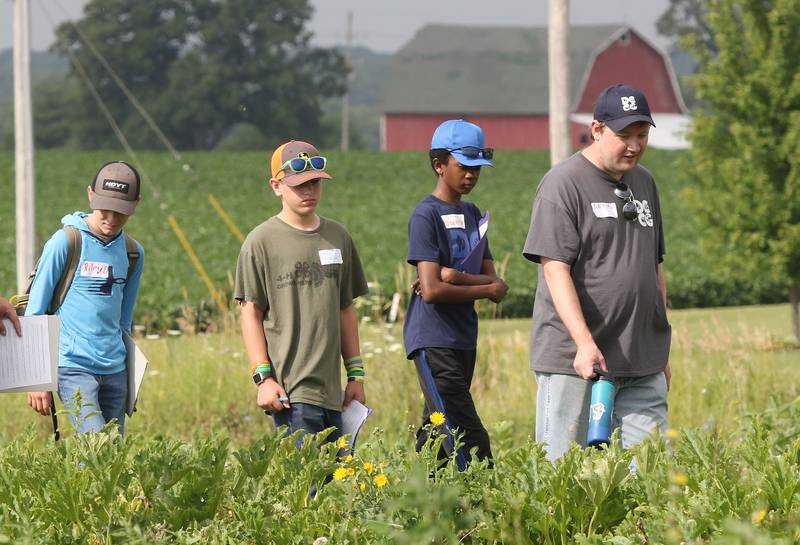 Sustainable Food Safari Camp participants go on a scavenger hunt to identify various vegetables and insects Wednesday, July 27, 2022, during the camp's stop at Walnut Grove Vocational Farm in Kirkland.