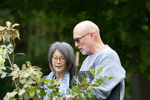 Plant for the Future at OAKtober Sale