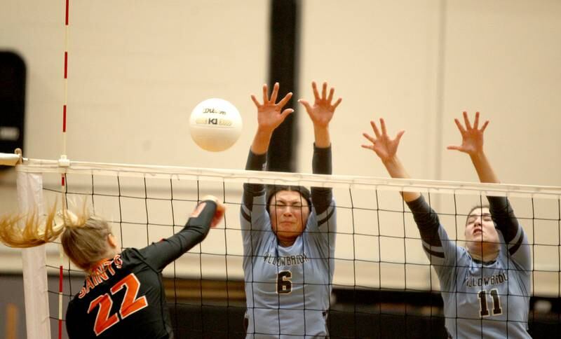 Willowbrook’s Hannah Kenny (6) and Hope Reckamp (11) go up for a block from St. Charles East’s Alexis Crossen (22) during their Class 4A Proviso West Sectional final on Wednesday, Nov. 2, 2022.