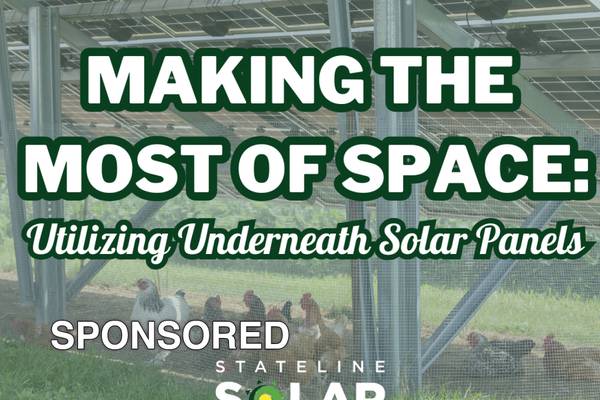 Making the Most of Space: Utilizing Underneath Solar Panels