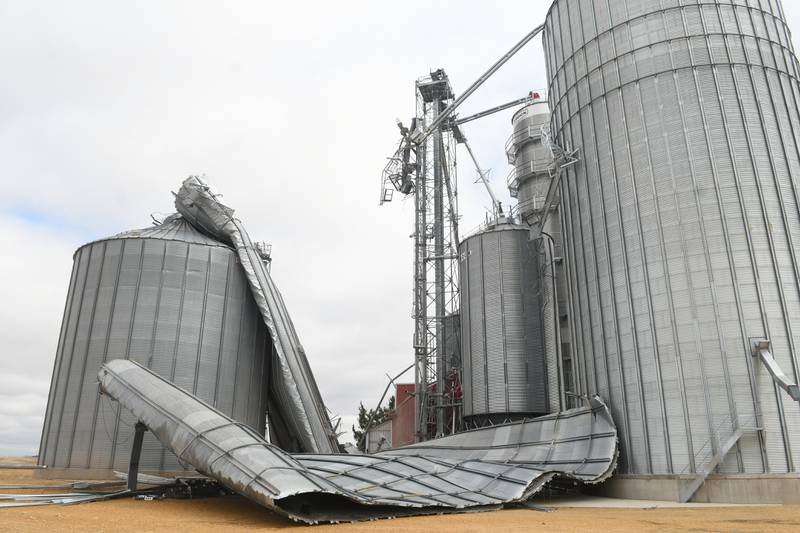 Ludwig Family Farms' a 125-foot grain bins were damaged during Friday's storm along Illinois 64 about 5 miles east of Lanark.
