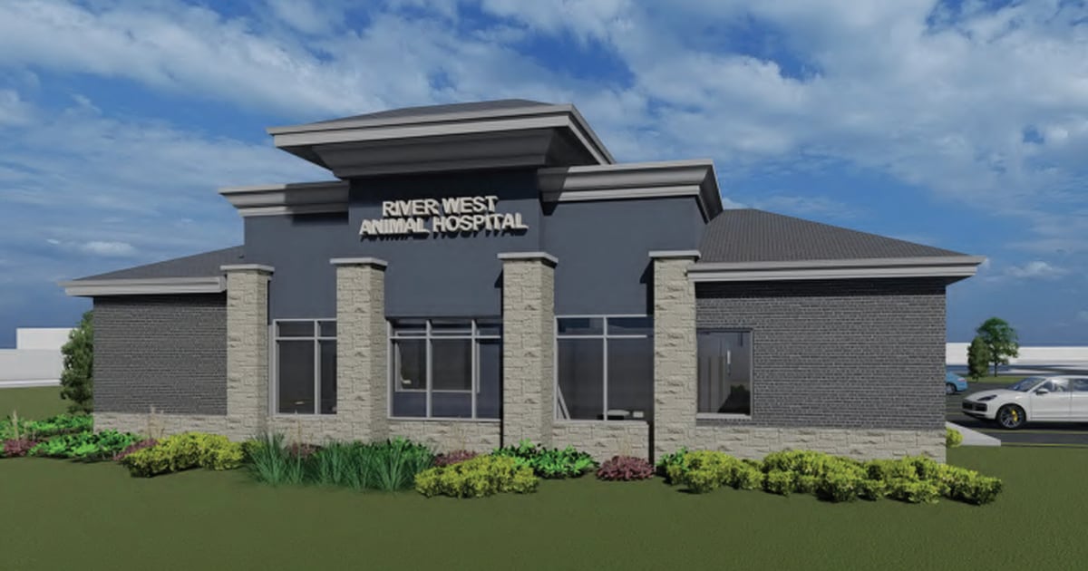 West river animal hospital best sale