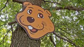 Find a furry woodchuck mascot, celebrate Dog Days of Summer