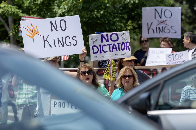 Protesters hold signs at the “No Kings” protest as cars drive down north Main Street on Saturday, June 14, 2025 at Rotary Park in Princeton.