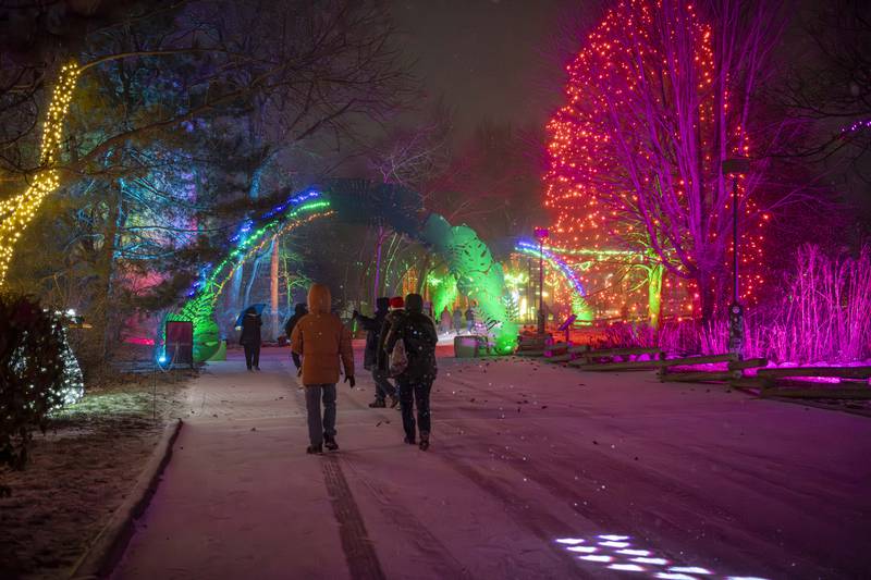 Milwaukee County Zoo's Wild Lights returns with a newly-expanded route of decorative displays and pathways throughout 28 nights in 2025.