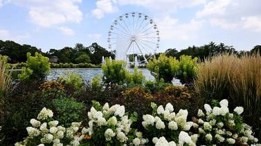 Dinos, Ferris Wheel, new animal experiences this spring at Brookfield Zoo Chicago 