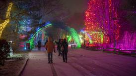 Wild Lights holiday event returns to Milwaukee County Zoo Nov. 21