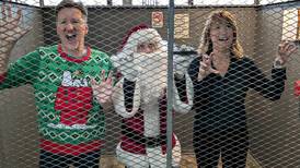 ‘Seasonal Lights’ to brighten Elmhurst stage