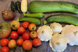 Learn about vegetable gardening June 6 at Granville library