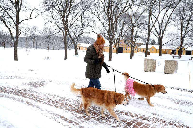 Aldona Trela walks her dogs, Reilly and Callie in the snow  on Friday, Dec. 20. 2024 at St. James Farm Forest Preserve in Warrenville.