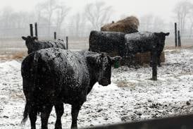 Henry: Farmers need a financial boost