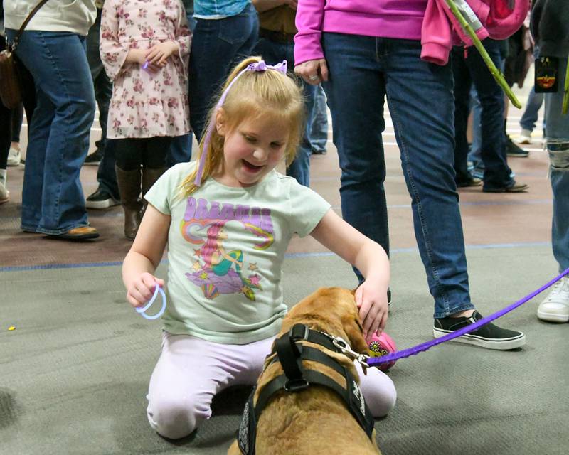 Comfort dog River, 10-month-old lab with the Batavia Police Department, gets pets from Emmilynn Taft, 7, of Kirkland, during a 1 year memorial vigil for the late sheriff's deputy Christina Musil, 35, on Saturday, March 29, 2025, held at the Sycamore High School Field House. Musil was killed in the line of duty in a rear-end car crash in Waterman while on patrol on March 28, 2024.