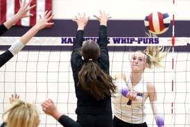 Girls volleyball: 2025 Northwest Herald All-Area Team