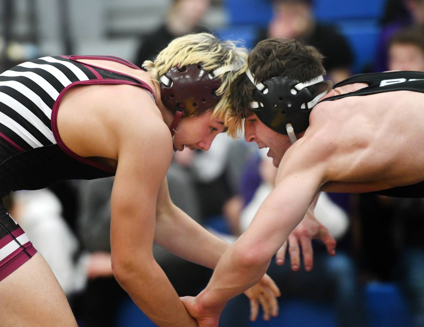 Dixon's Steven Kitzman (right) and Dakota's Case Rockey start the championship match at 170 pounds at the 1A Polo Wrestling Regional held at Eastland High School in Lanark on Saturday, Feb. 4.