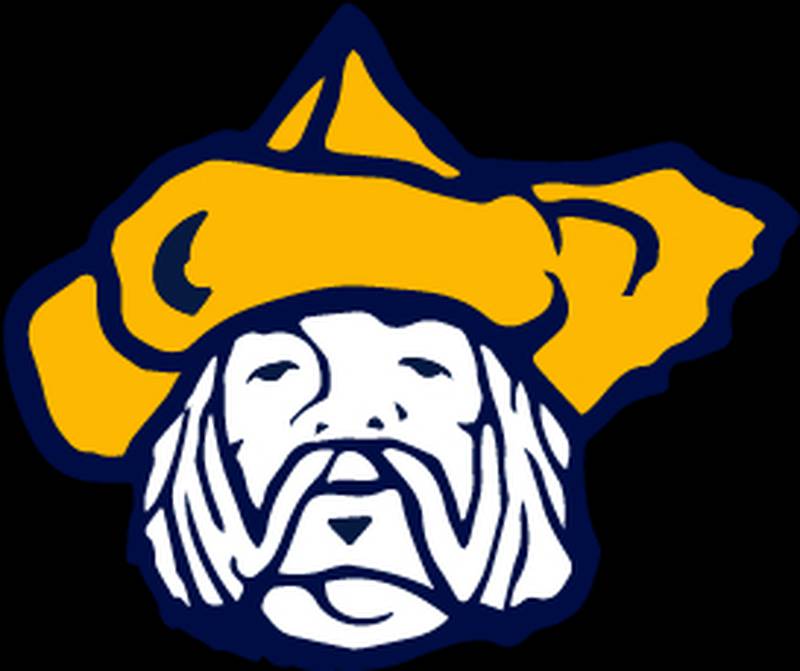 Polo logo