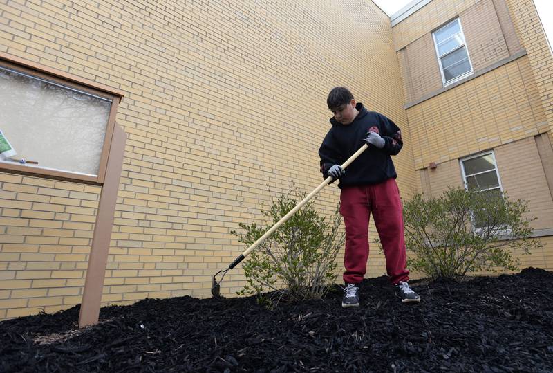 Instructional Special Ed Science 6th grader of Heritage Middle School, Anthony Hernandez helps spread mulch during the Beautification day held in collaboration with Home Depot and the school's OAV Club Wednesday April 20, 2022.