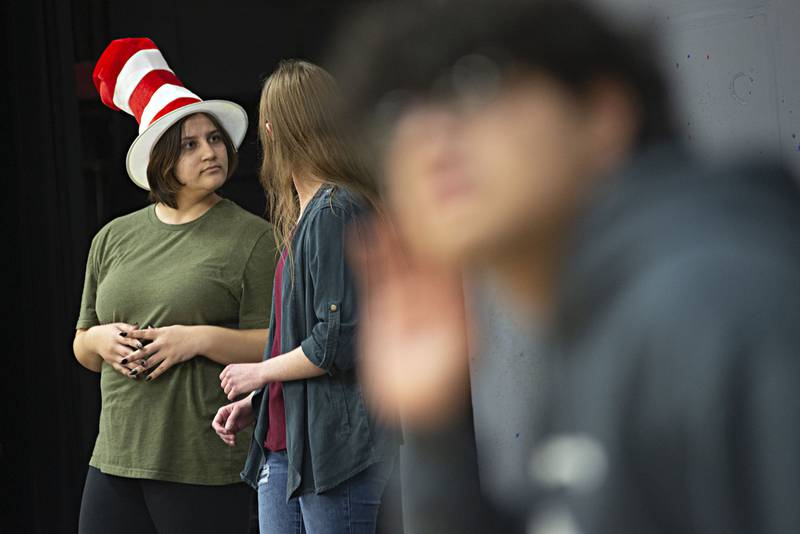Rock Falls High School student Molly Maloy plays the part of The Cat in the Hat in the school’s rendition of “Seussical the Musical” playing this Friday and Saturday at 7 p.m.