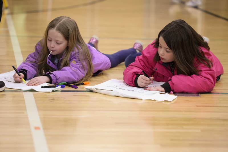 Charlotte, 7, and her twin sister Isabelle color their free T-shirts at the Will County Executive 2024 Kids’ Fair at Troy Middle School in Plainfield on Monday, Feb. 19, 2024.