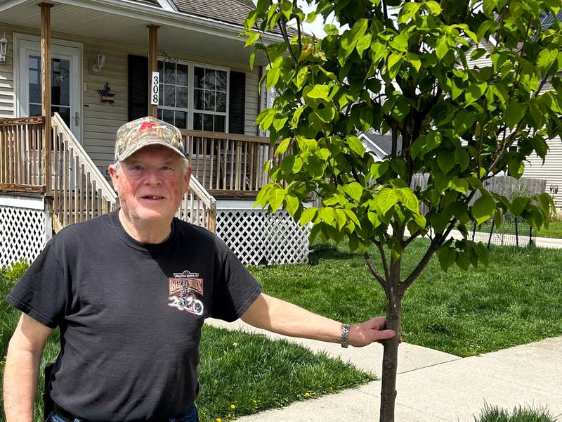 On April 22, 2024, Kirkland resident Les Barnsback stands next to the Japanese Lilac tree that was planted in front of his home through a cost sharing program created by the Kirkland Tree Commission in 2023.