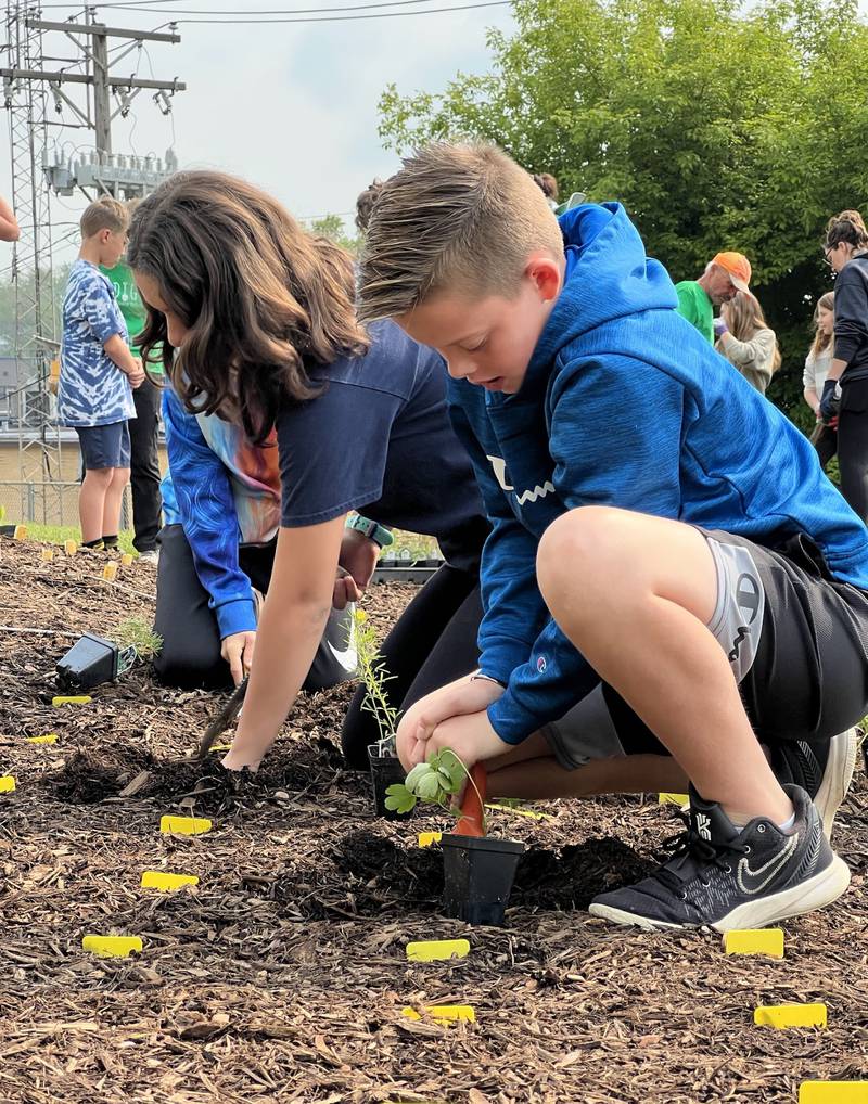 Fifth graders Emma Martinez, left, and Liam Birk helped plant Landmark Elementary School's new pollinator garden on Friday, May 19, 2023. Teachers at the McHenry School District 15 building plans to use the new garden as an outdoor classroom.
