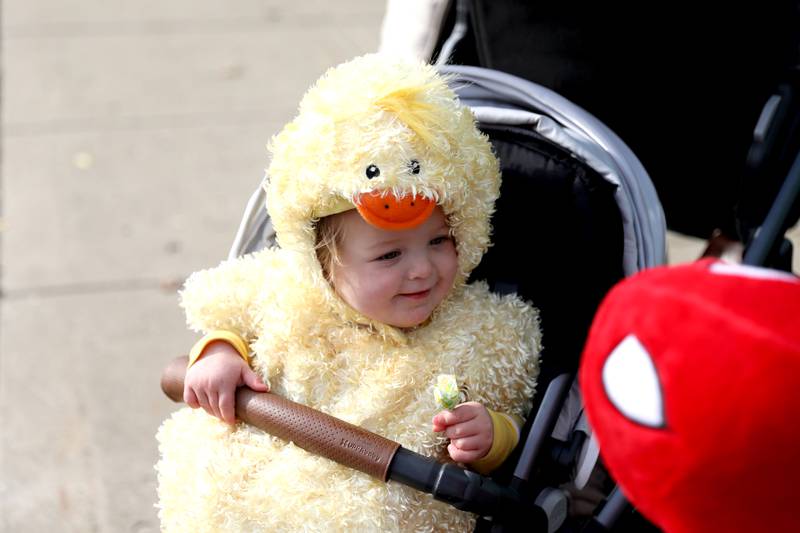Savannah Gonzalez, 1, dressed as a chicken, goes trick-or-treating at Geneva businesses on Thursday, Oct. 27, 2022.