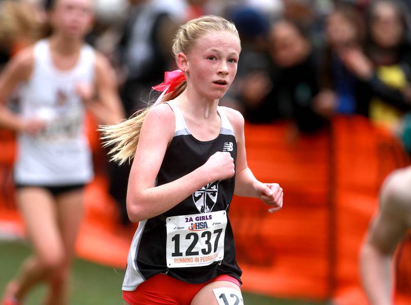 Fenwick's Bridget Brunick competes in the Class 2A State Cross Country Championships on Saturday, Nov. 9, 2024 at Detweiller Park in Peoria.
