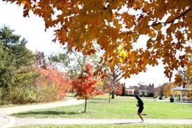 Fall outdoor activities with Kane County Forest Preserve