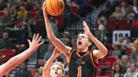 IHSA Sectional Preview: One under-the-radar player for each Daily Chronicle area school still alive 