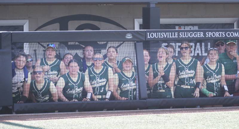 Members of the St. Bede softball team cheer their team on from the dugout in the Class 1A State semifinal game on Friday, June 2, 2023 at the Louisville Slugger Sports Complex in Peoria.