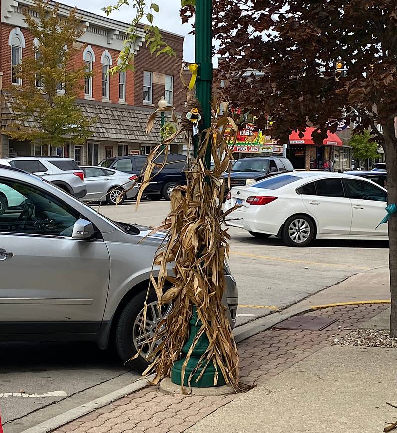 Corn Festival returns this weekend Shaw Local