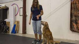 Lincoln-Way North School campus has gone to the dogs