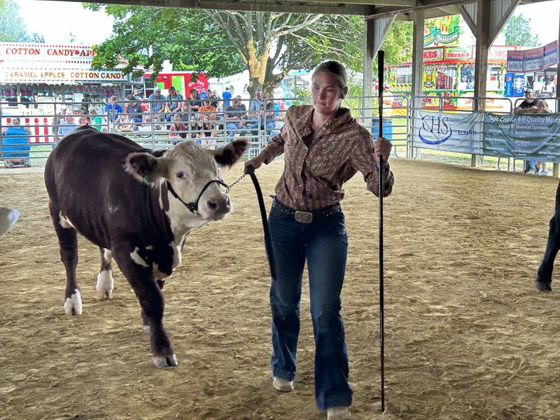 Katelyn Rockwood of Polo shows her steer at the Ogle County 4-H Fair on Thursday, July 31, 2025.