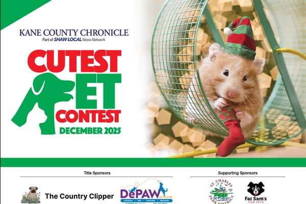 December Cutest Pet Contest