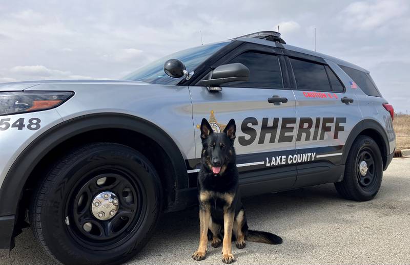 Lake County Sheriff’s Office K9 Zeus will receive a bullet and stab protective vest thanks to a charitable donation from non-profit organization Vested Interest in K9s Inc.