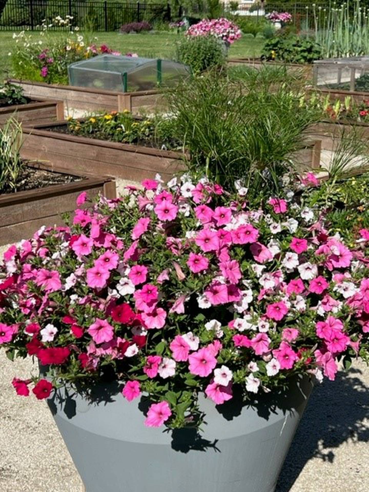 The Dirks Garden which will be featured in the Master Gardeners' Garden Walk